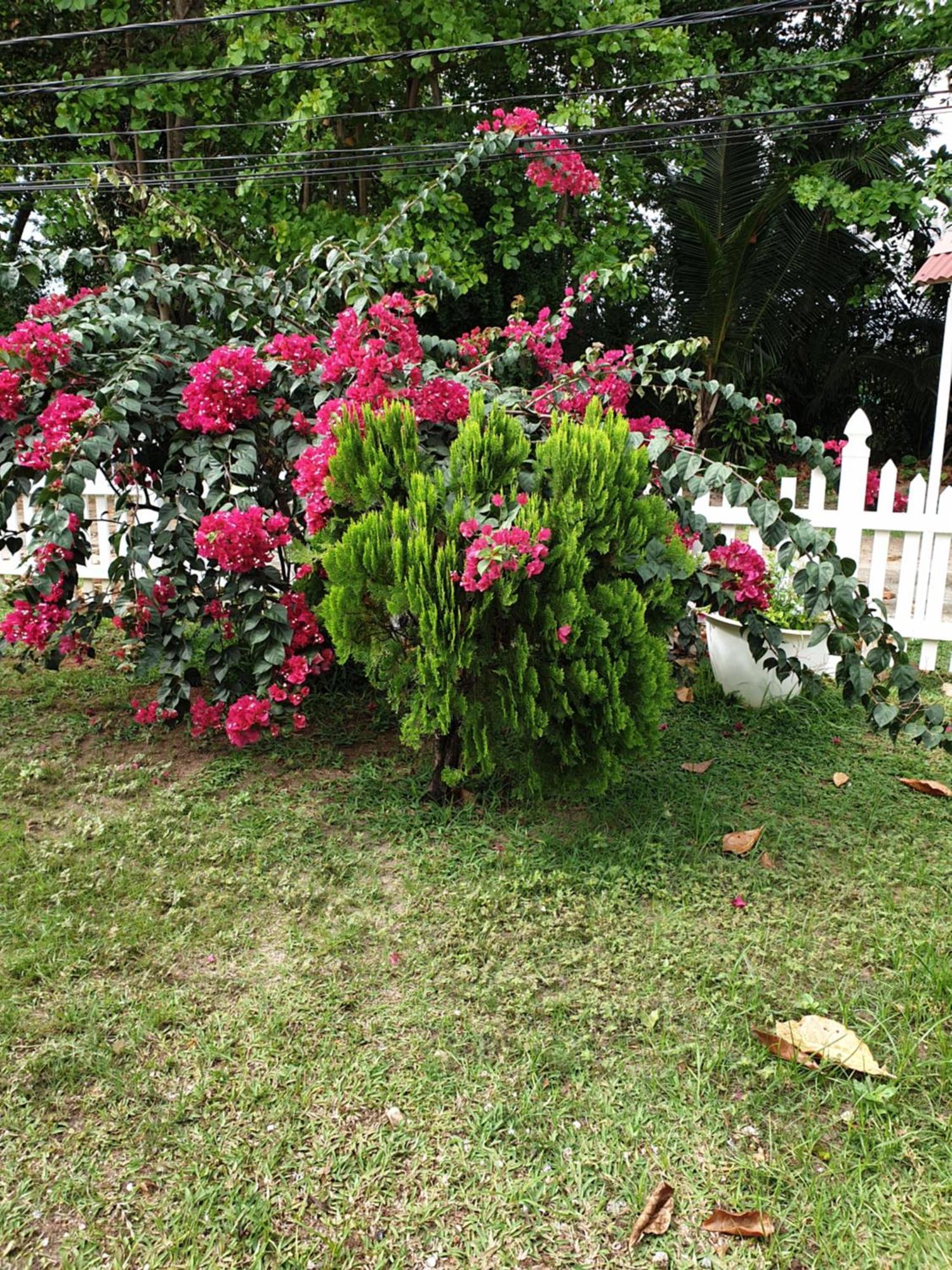 Villa Authentique La Digue Exteriér fotografie